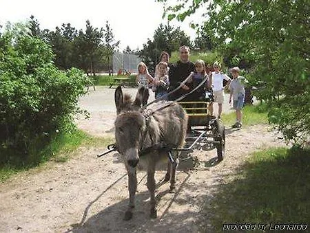 فندق Kommandorgarden 3*